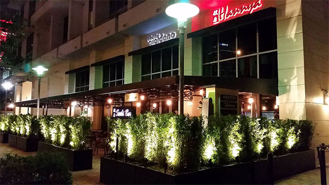Plants with outdoor lights illuminate restaurant's front entrance. Miami, FL