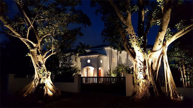 Outdoor-Residential-Lighting-Miami-Trees