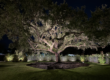 Pinecrest-Backyard-Lighting-System