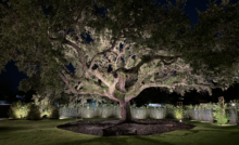Pinecrest-Backyard-Lighting-System