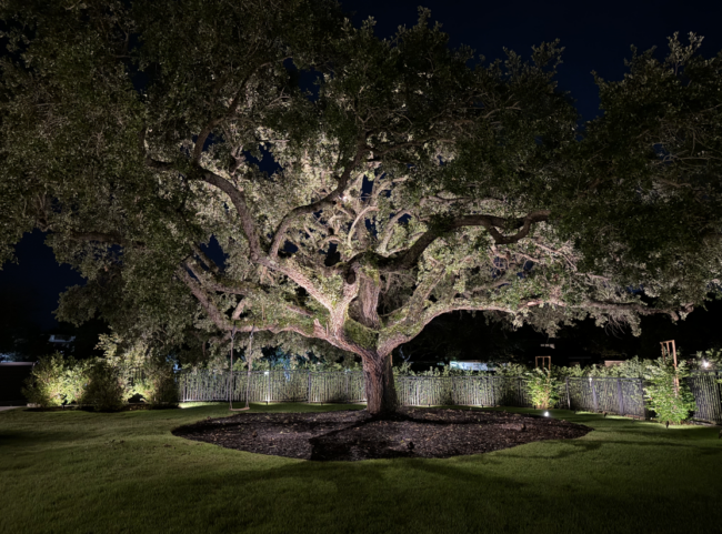 Pinecrest-Backyard-Lighting-System Pinecrest-Backyard-Lighting-System