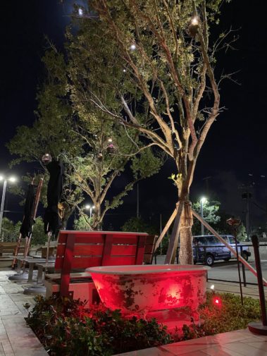 Sergios Restaurant front entrance trees with red LED Lights on a tub..