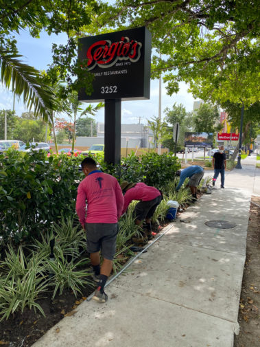 Sergio's Restaurant, workers installing new outdoor lights in the front entrance.