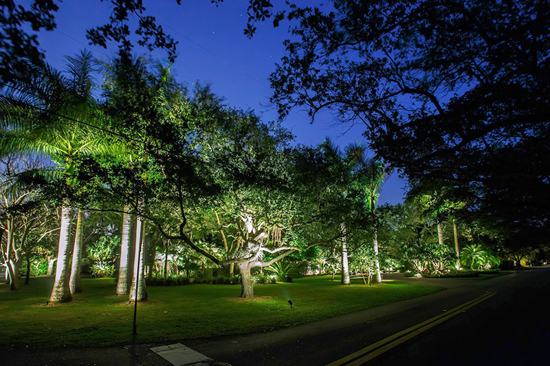 Front lawn outdoor tree lighting. LED lights. Pinecrest, FL.